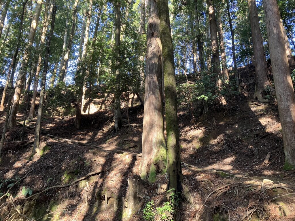 つづら折り