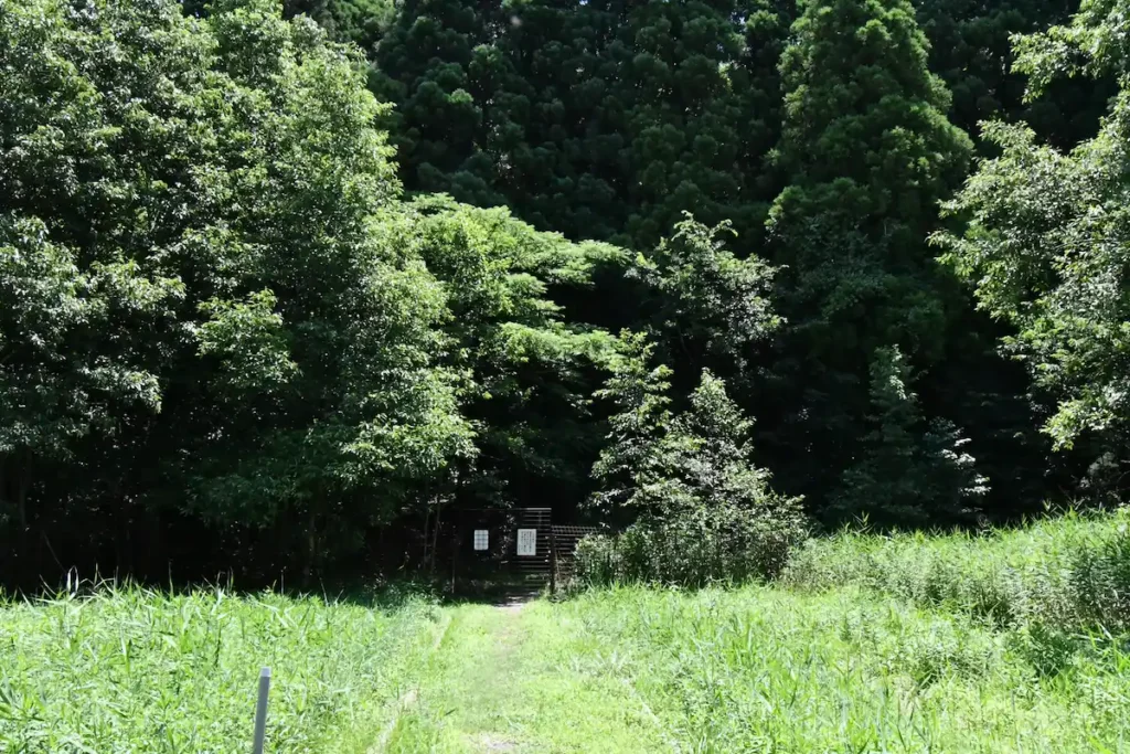iriguchi