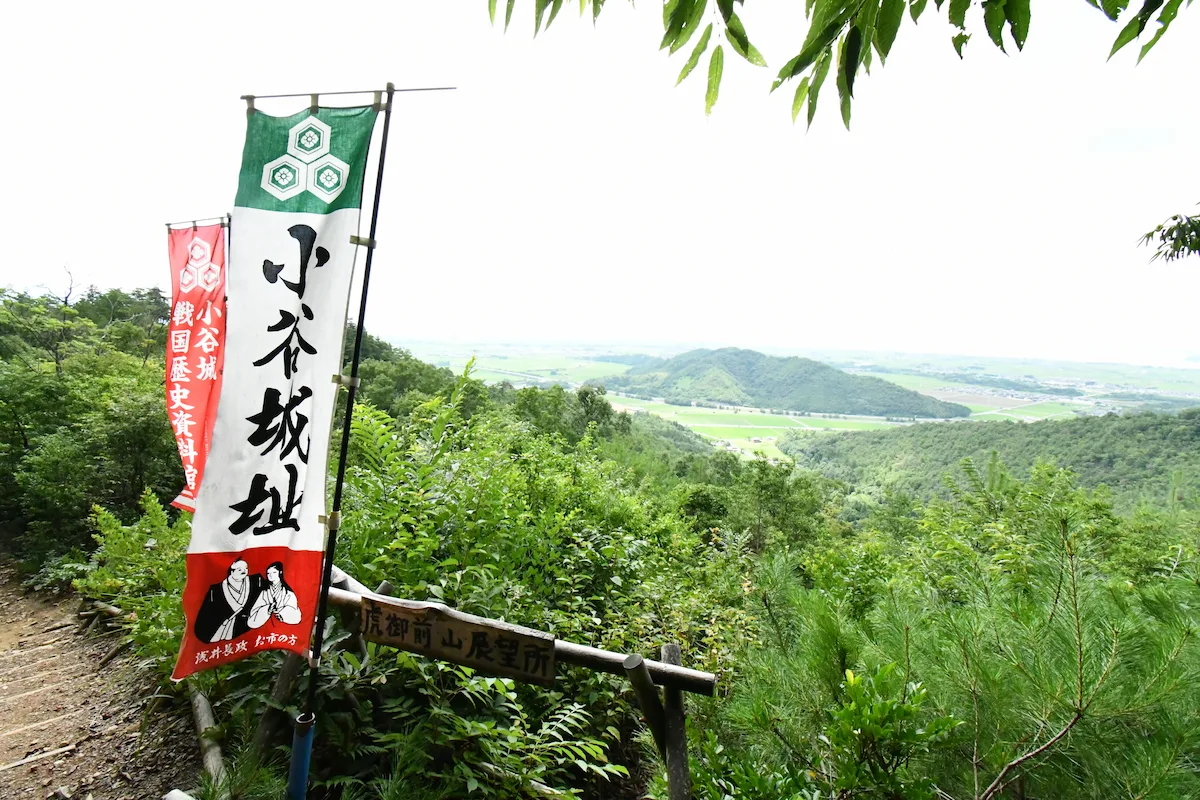 view from odani