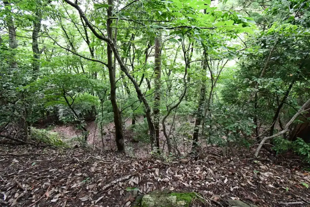 oohorikiri view