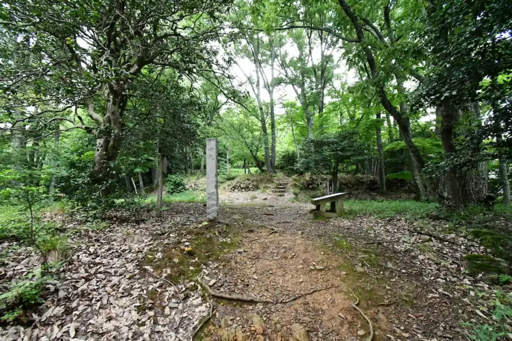 nakamaru