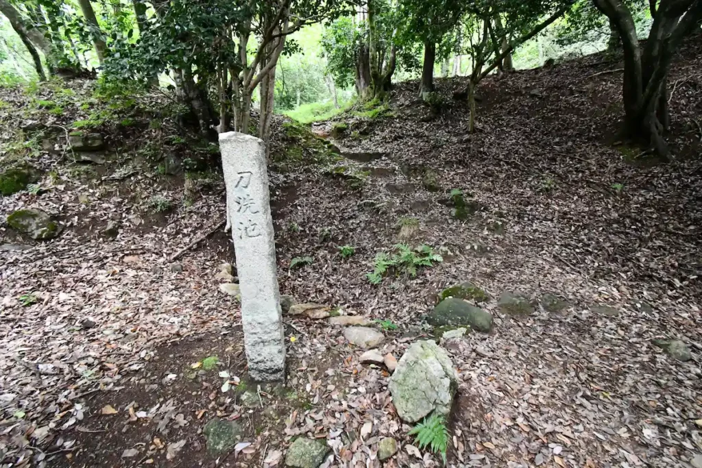 katanaaraiike