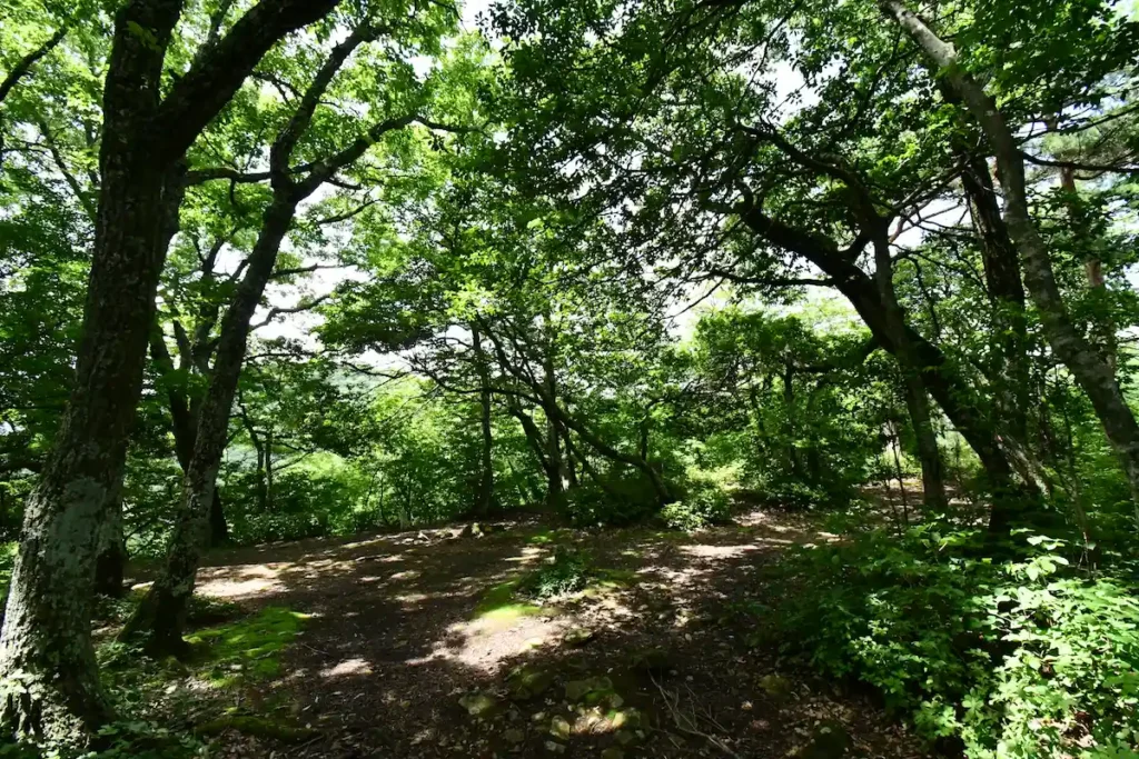 sannoumaru view