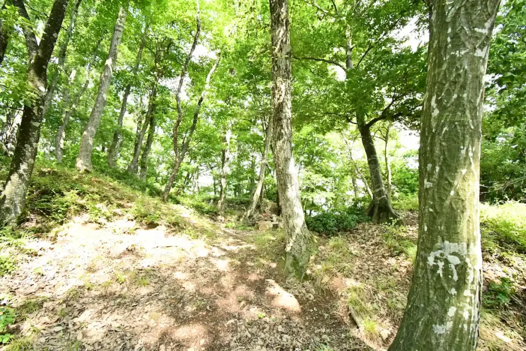 yamasakimaru