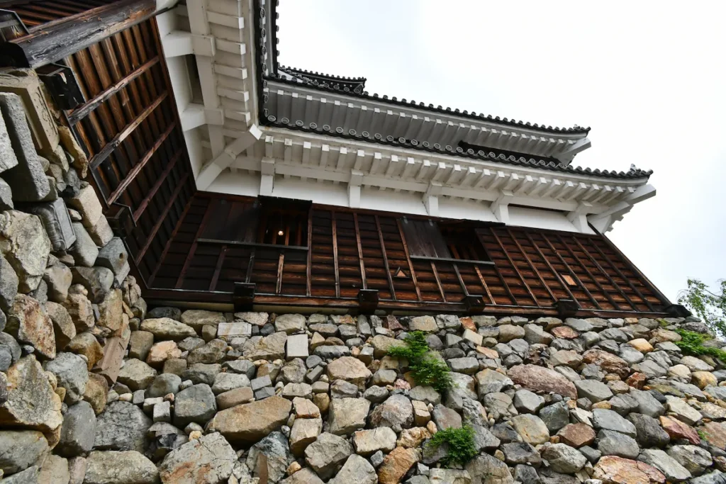 tensyu ishigaki