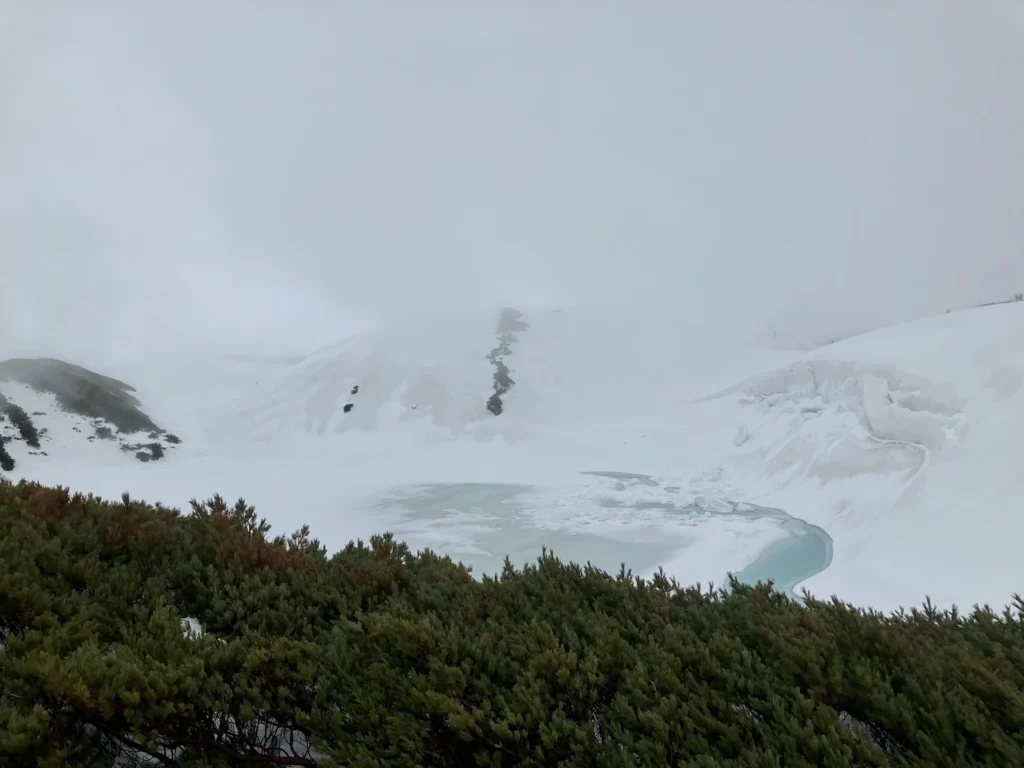 mikuriga pond