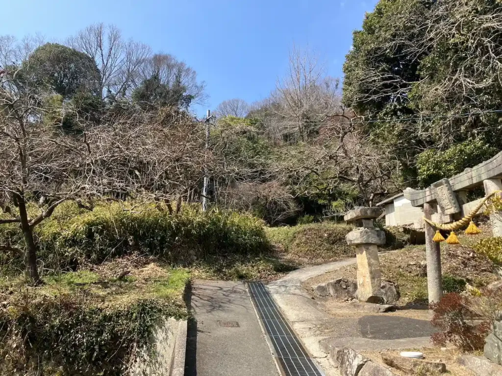 神社横の登山道