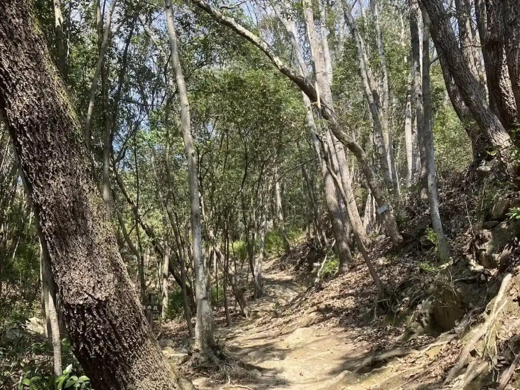 番所横を通る道