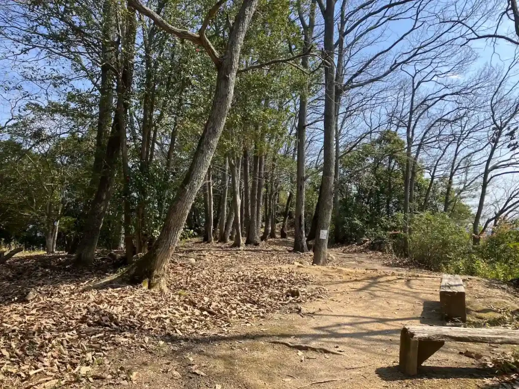 本丸