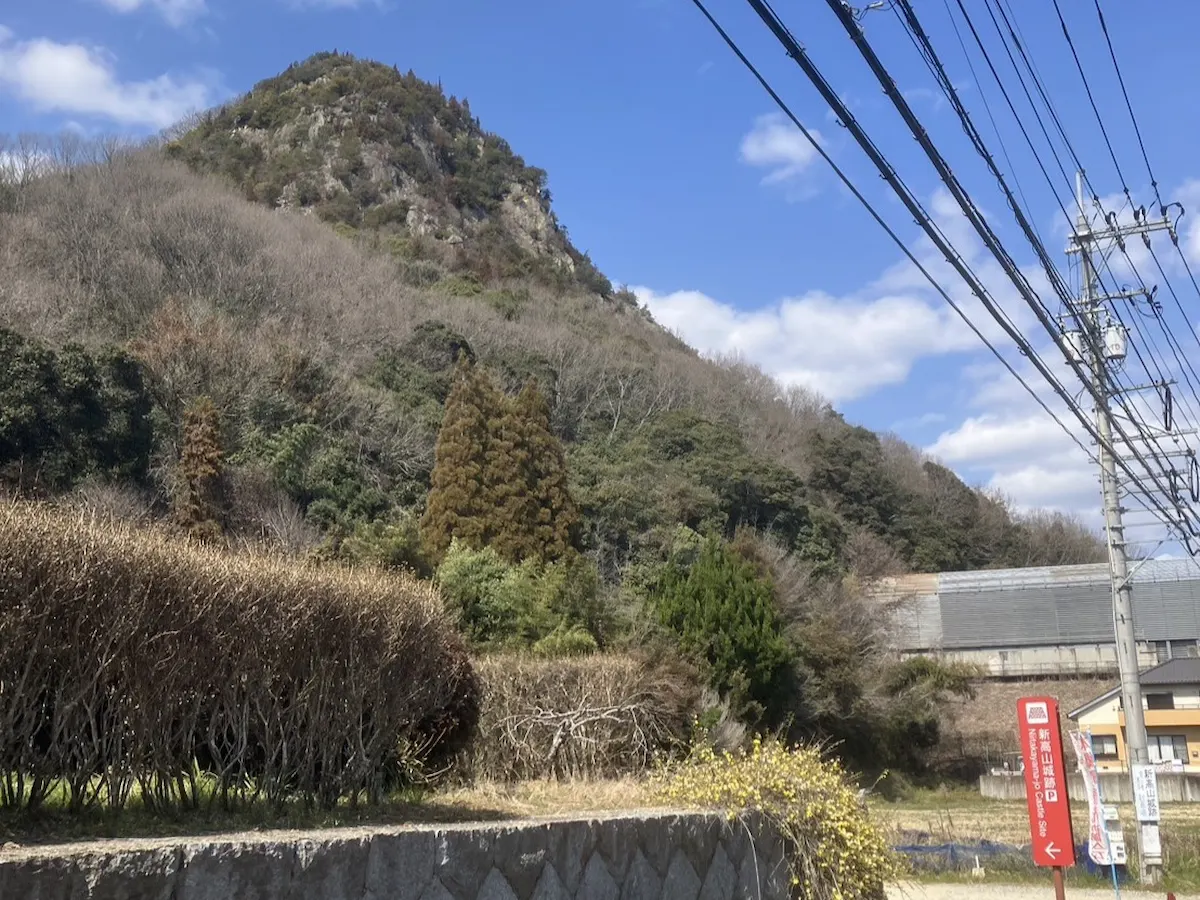新高山城