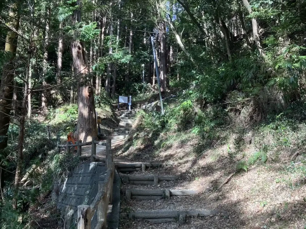 急斜面の階段