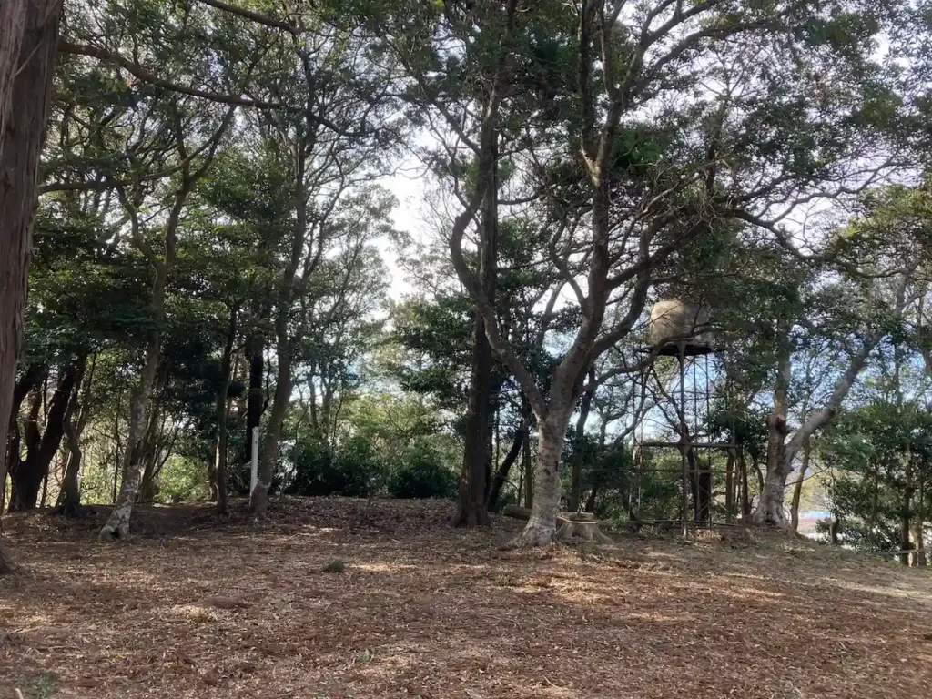 本丸の風景(右上に雨水の貯水タンクが見える)