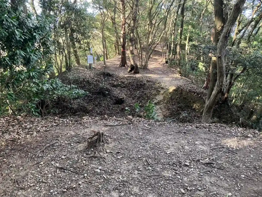 堂の尾曲輪の堀切を上から見る