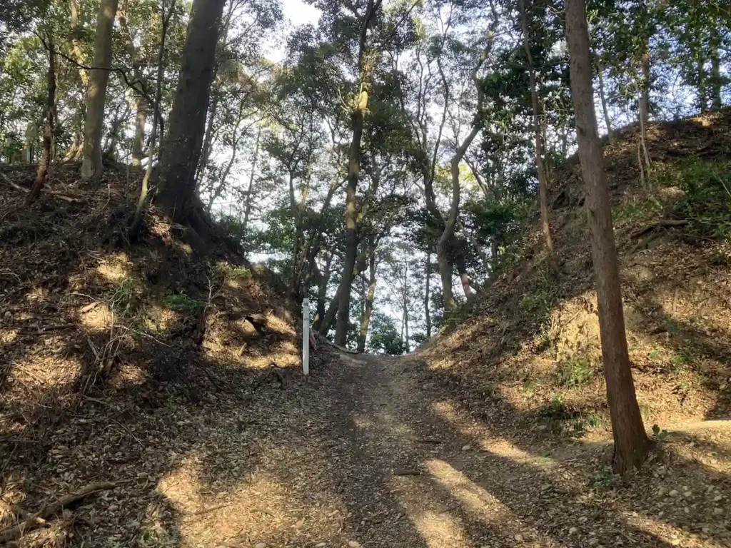堂の尾曲輪の堀切を横から見る