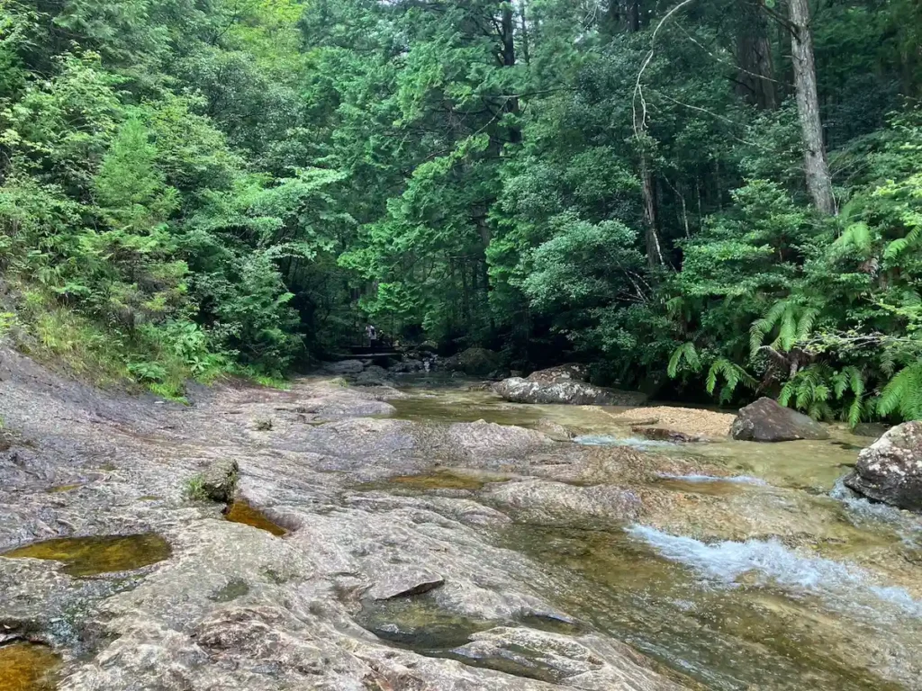 乳岩川の川岸