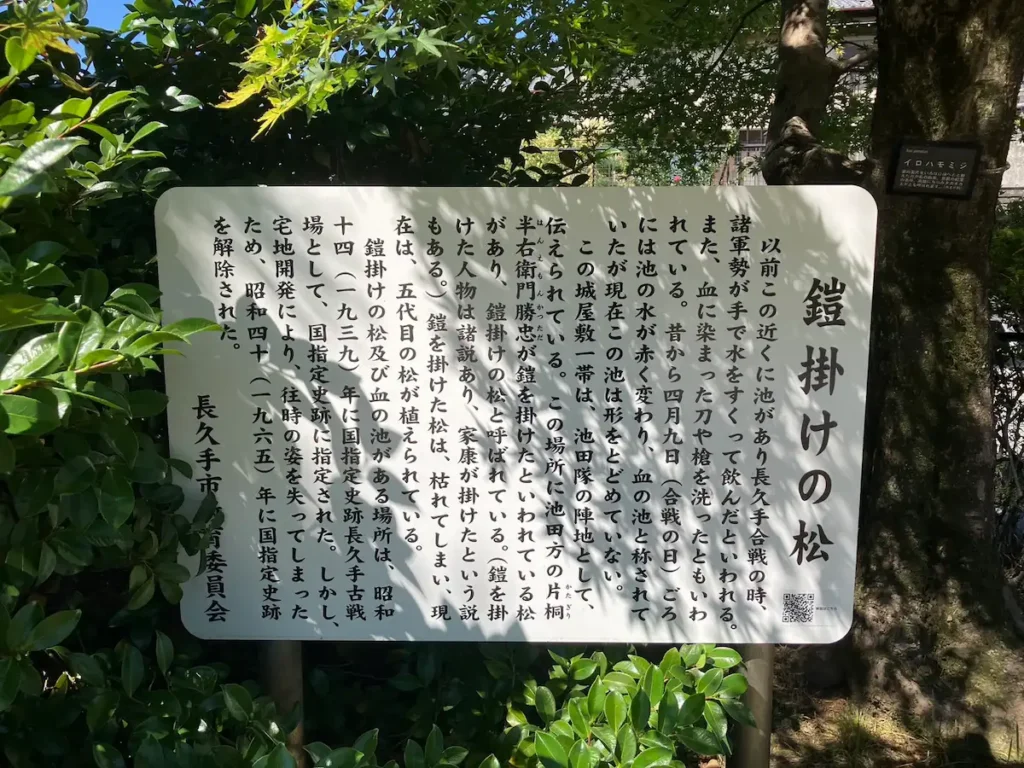 鎧掛けの松の説明