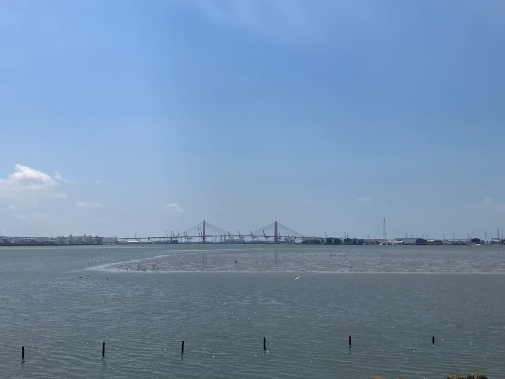最終的に現れた干潟（奥は名港トリトン）