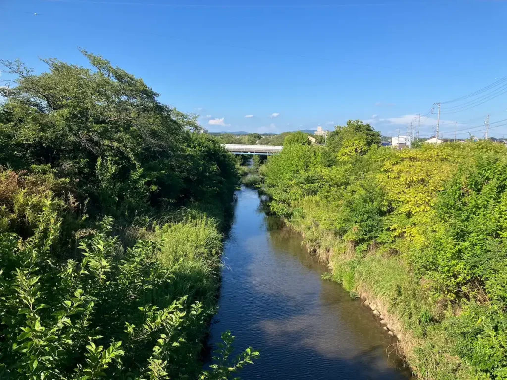 岩崎川
