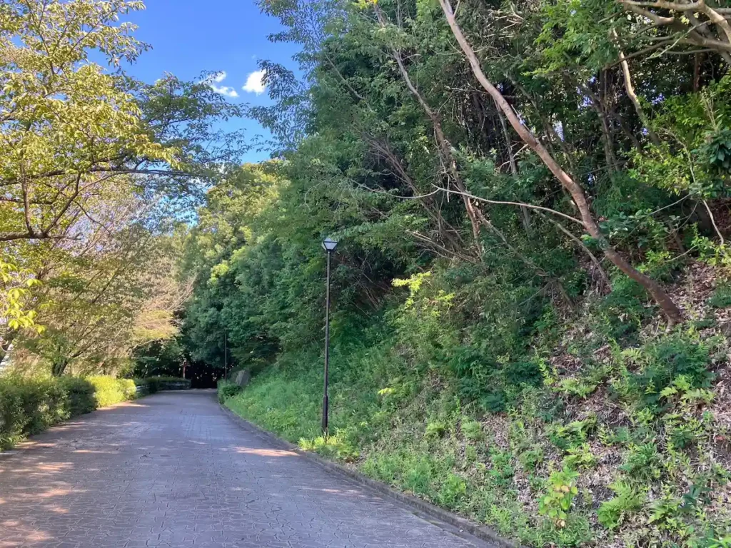 ※北側土塁（右上にある曲輪に土塁が追加されている）