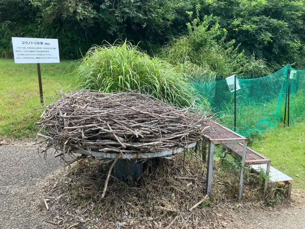 コウノトリの巣（複製）
